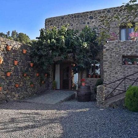 Finca Los Tamarillos Santa Cruz de Tenerife Eksteriør billede