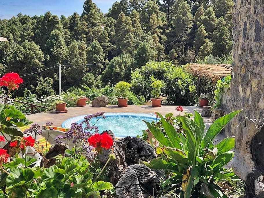 Finca Los Tamarillos Santa Cruz de Tenerife Eksteriør billede